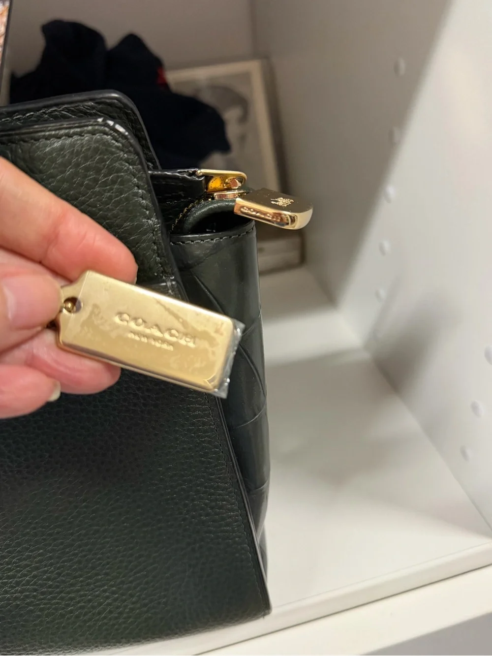 Coach Forest Green Pebbled Leather Satchel with Snake-Print Straps